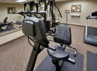 Holiday Inn Express & Suites NAMPA - IDAHO CENTER by IHG - Gym