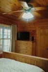 Cozy Cabin with Beautiful Mountain Views Near Shenandoah National Park in Luray - Mountain view