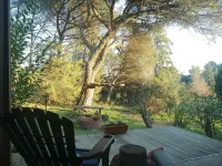 Pine Lodge - luxurious bungalow in nature Hotels in Valongo