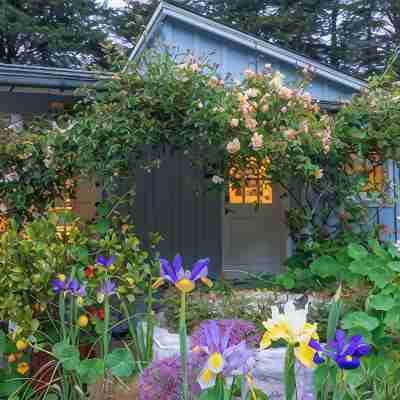 Peaceful Garden Oasis with Breakfast Provided Hotel Exterior