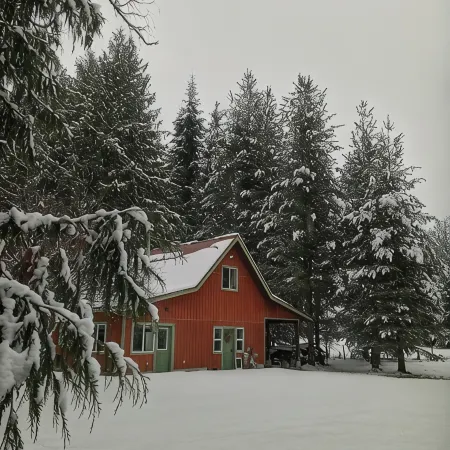 Little house in the woods, close to the lake,town and mountain.