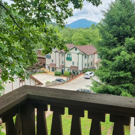 The Lazy Bear Condominium- Pet Friendly!