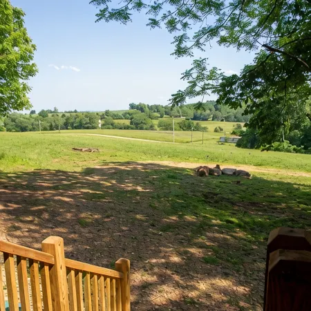 Modern Cabin on wooded 20 acres with scenic view