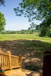 Modern Cabin on wooded 20 acres with scenic view