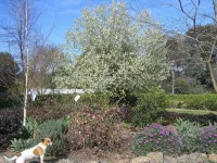 YERING PARK COTTAGE - 3 bedroom home  in the heart of the Yarra Valley Hotels in Coldstream