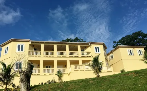 New Listing!Verdant Paradise. Relaxing Vacation In The Lush Tropical Rain Forest - Wifi