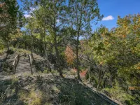 3 Acre Home On Creek W/Pool! Hill Country Views - 4 tähden
