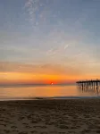 Private treetop suite in Kitty Hawk  Coastal Preserve