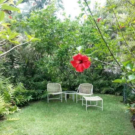 Beautiful Romantic Hanalei Honeymoon Vacation Rental Steps/Beach TVNC 1280