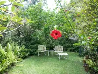 Beautiful Romantic Hanalei Honeymoon Vacation Rental Steps/Beach TVNC 1280 - บูติค