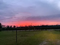 Great views and walking distance to the boat ramp at Lake Seminole!! - WiFi