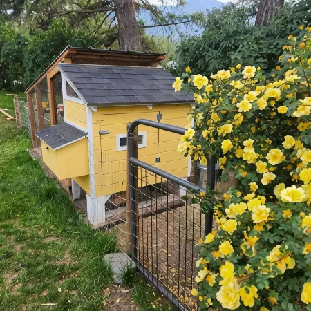 New and Wonderfully Equipped Comfy Cottage - 9 Miles from West Glacier