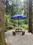 Luxury Cottage in the Woods with Movie Theater! :) - Tiny houses