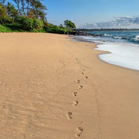 Oceanfront Bliss at Kaha Lani 211 - Sunrise Views & Private Paradise