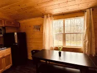 Green Cabin in Surry close to Acadia and Bar Harbor Hotele w: Surry