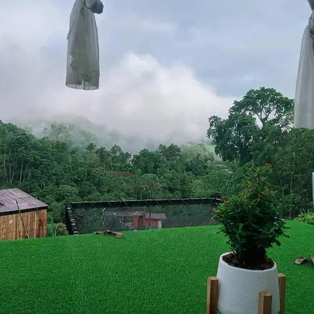 Valley Homestay