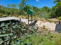 Homestay Sen & Zen Villa Vung Tau