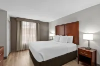 Comfort Suites Near Potomac Mills - Pool
