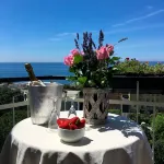 Hotel Mediterraneo - Pet-friendly