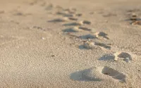 Yeongdeok Beach Walking Pension - Ocean View