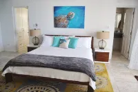 Turtle Bottom luxury beachside villa - Villas