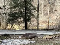 Plum Crazy Appalachian Resort on Atv Trail by Waterfalls, 17mi to Norris Lake. - Wifi