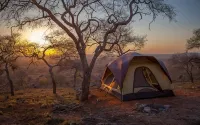 Cheetah Campsite Lumo - 2 Sao