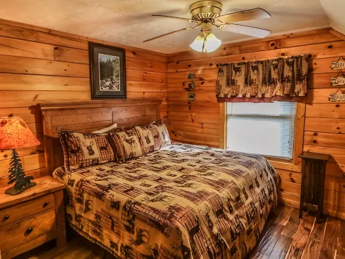 " Beary Cozy Cabin " - Private Pools