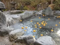 Okunoin Hotel Tokugawa - Hot Springs