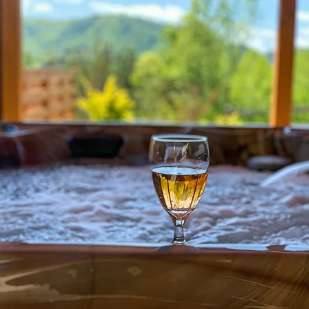 Mountain Views, Hot Tub & More — the Blue Moose Cabin Just Minutes from Town!