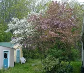 Cozy Milbridge Country Home - 4-Star