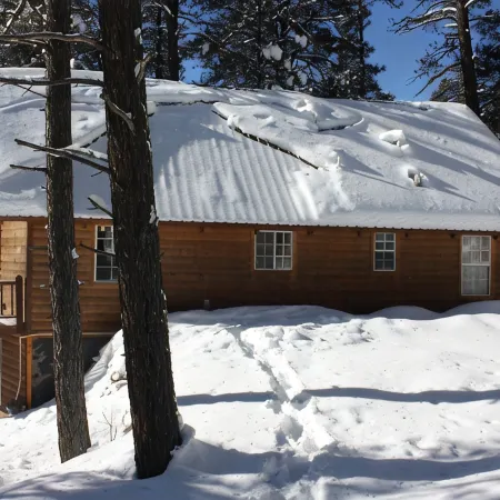 Altitude Adjustment cabin near Wolf Creek - pet friendly