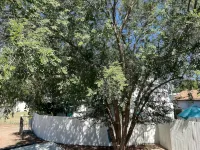 The Palace Cottage w/private Hot tub - Homestays