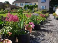Brambles Bed and Breakfast - Wi-Fi