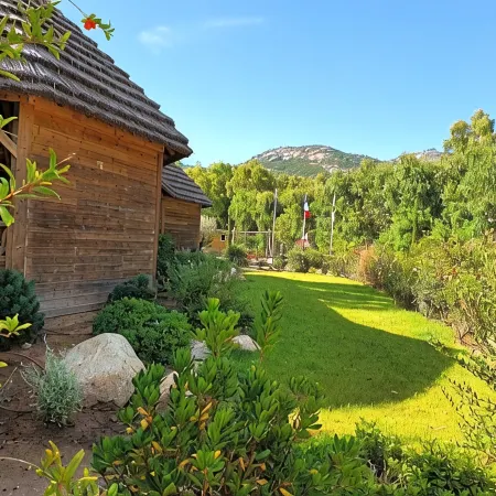 Camping la Pinède