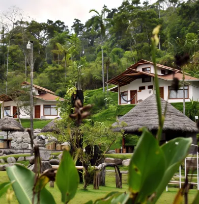 Amuntai Rainforest Lodge