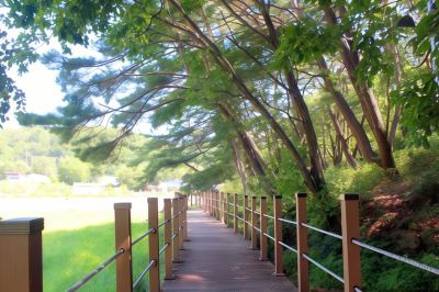 ホテル周辺 ハンファ リゾート サンジョン レイク アヌシーの写真