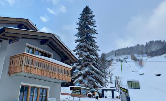 Chalet Marmotta Culm - Luxus Chalet Ski-in Ski-Out