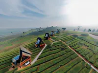 Nimo Tea Resort Hotel di Pangalengan