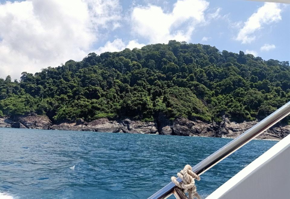 투나마야 리조트 야생 원숭이