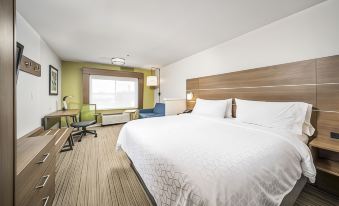 Holiday Inn Express Chicago NW-Vernon Hills