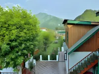 New Green View 1