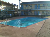 Ladybird Inn - piscine
