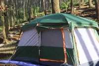 Great Panorama Lodge & Camp by Mhm