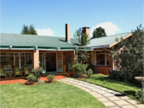 Sycamore Avenue Treehouses & Cottages Accommodation