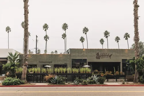 ذا جرين روم هوتل فنادق في أوسيانسيدي