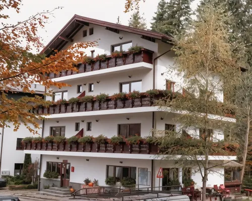 Pensiunea Anotimpuri Hotels in Predeal