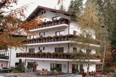 Pensiunea Anotimpuri Hotels in 