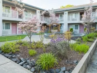 Creekside Inn & Suites Hotels in Willits
