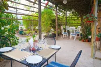 Beulah Court Vineyard